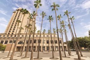 圣何塞Signia by Hilton San Jose的一群棕榈树在一座建筑前