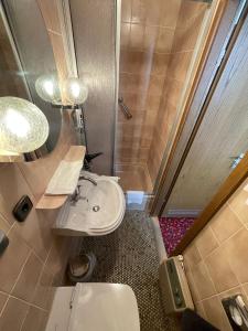 巴特乌拉赫格尼莱斯托博酒店的浴室配有卫生间、盥洗盆和淋浴。
