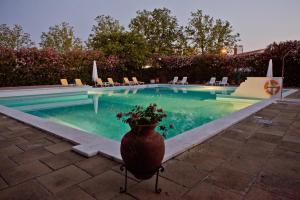 埃尔瓦斯圣卢西亚艾瓦斯酒店的旁边一个花瓶的大游泳池