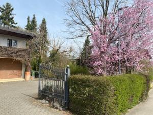 Kehrsatz绿叶郊区公寓的开花树的房子前的围栏