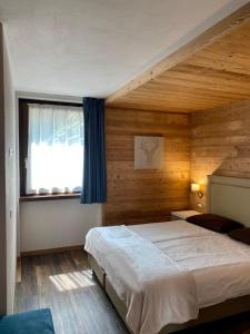 圣卡特琳娜瓦尔夫Chalet La Pineta的一间卧室设有一张大床和一个窗户。