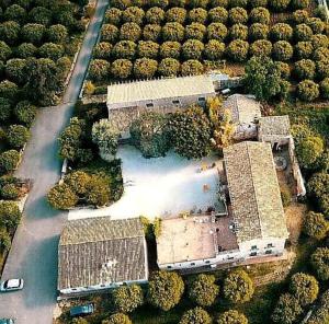 锡拉库扎Farm stay La Frescura Agriturismo的享有一棵树的建筑的空中景色