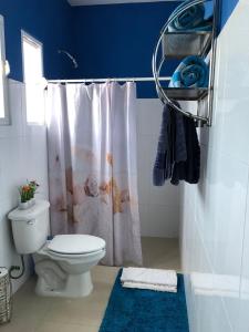 科苏梅尔Villa Segovia的一间带卫生间和淋浴帘的浴室
