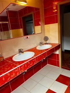 PstružíApartmán na horách, Plešivec的浴室设有2个水槽和镜子