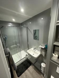 蒂诗上的索纳比Royal Apartments的带淋浴和盥洗盆的浴室