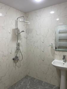 第比利斯Guest House 27的带淋浴和盥洗盆的浴室