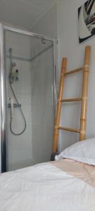 梅里尼亚克Mignon petit appartement indépendant的一张床旁边的玻璃门淋浴