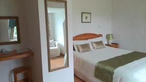 DrumcliffYeats Lodge的一间卧室配有一张床和镜子