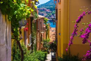 科利尤尔T2 au calme-vue mer et baie de Collioure-Garage的鲜花盛开的小镇上街道的景色