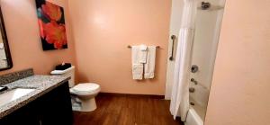 奥罗谷世誉多彩牧场公寓式酒店的浴室设有卫生间和带毛巾的淋浴。