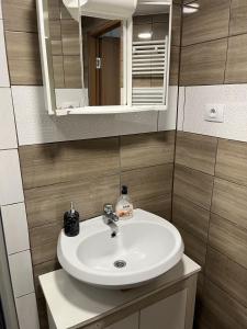 ŽirovnicaApartments Malivojevič的浴室设有白色水槽和镜子