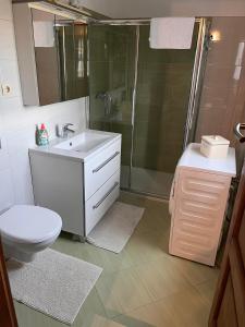 拉布konoba的浴室配有卫生间、盥洗盆和淋浴。