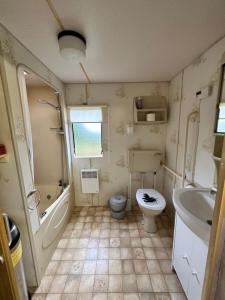 哈日科维Domek za świerkami的浴室配有卫生间、浴缸和水槽。