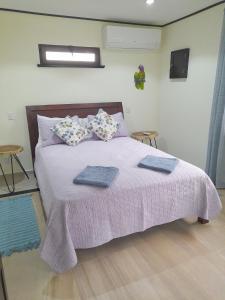 TronadoraLakeview Arenal 1 Bed Suite, Communal Pool & Gym - 2024 Traveller Awards Winner的一间卧室配有一张带紫色毯子和枕头的床