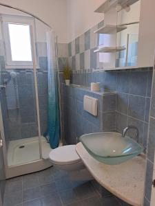 维尼斯切Apartments Neli的一间带水槽、卫生间和淋浴的浴室