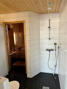 耶姆赛Villa Breikki, Himos的带淋浴和卫生间的浴室。