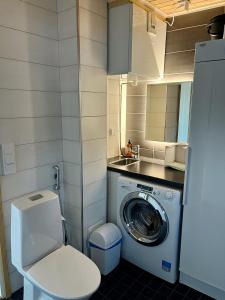 耶姆赛Villa Breikki, Himos的小型浴室设有洗衣机和水槽。