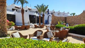沙姆沙伊赫绿松石海滩酒店的一座建筑前的庭院,庭院里摆放着椅子和棕榈树