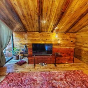 乌尔齐尼Coratina Cottage的客厅设有木墙和平面电视。