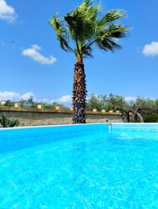 马里内拉Casa Vacanze 'Al Giardino degli Ulivi'的游泳池旁的棕榈树