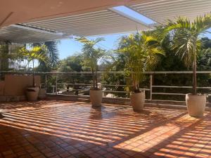 巴兰基亚Espectacular y amplio apartamento amoblado的棕榈树和阳光的天井