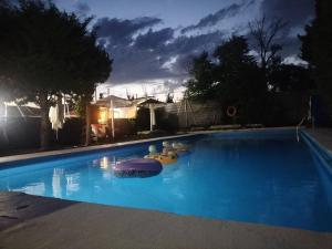 SonsecaHostal New York City的夜间在院子里的大型蓝色游泳池