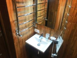 斯基希德尼萨Рудий Лис的一间带水槽和镜子的浴室