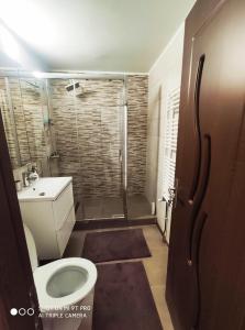 特尔戈维什泰Maribelle Appartments的带淋浴、卫生间和盥洗盆的浴室