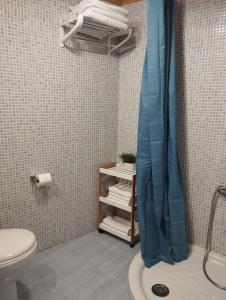 卢戈Casa Aldea de Abaixo的带淋浴帘和卫生间的浴室