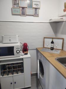 托罗克斯科斯塔Estudio El Faro II的厨房配有洗衣机和微波炉。
