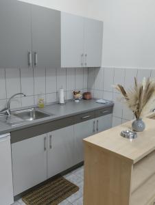 普里耶多尔Apartman (stan na dan) M&M 2 Prijedor的厨房配有白色橱柜、水槽和柜台。