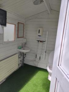 海拉Iceland Igloo Village的一间带卫生间和水槽的浴室