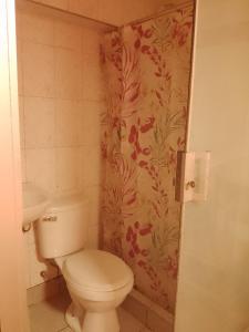 奥兰太坦波hostal ollantaytambo apartments的一间带卫生间和淋浴帘的浴室