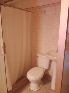 奥兰太坦波hostal ollantaytambo apartments的一间带卫生间和水槽的浴室