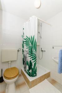 布雷拉Apartments Mira的一间带卫生间和淋浴帘的浴室