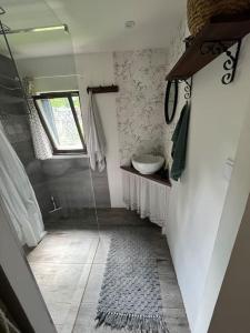 罗斯诺夫·波德·拉德霍斯滕Chata pod pindulou的带淋浴和盥洗盆的小浴室