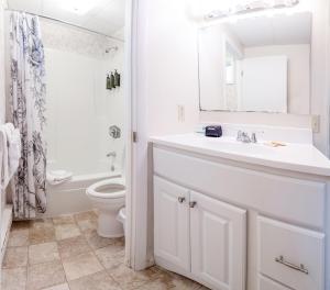 巴港阿卡迪亚松树汽车旅馆 的白色的浴室设有水槽和卫生间。