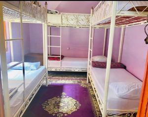 马拉喀什马拉喀什鲁热旅馆的一间设有四张双层床的客房,拥有紫色的墙壁