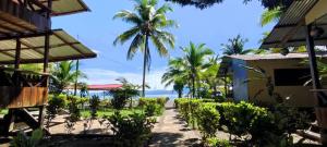 巴亚索拉诺Cabañas las perlas的棕榈树度假村享有海滩美景