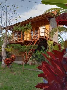 普卢坎Jungle House - surf & stay的一座木房子,设有通往房子的木楼梯
