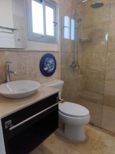 蓬塔卡纳Cortesito santana的浴室配有卫生间、盥洗盆和淋浴。