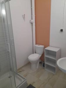 法兰西堡Appartement T3 Cœur De Ville Patio的一间带卫生间和水槽的浴室