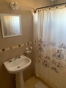 普洛缇尔Casita en plottier的浴室设有水槽和淋浴帘,配有自行车