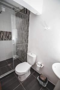 锡卡西亚CASA SANTA CIRCASIA的浴室配有卫生间、淋浴和盥洗盆。