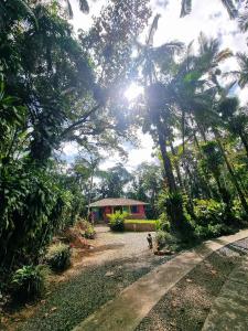 约恩维利Hotel Jussara Cultural - Joinville的享有棕榈树庭院和房屋的景色