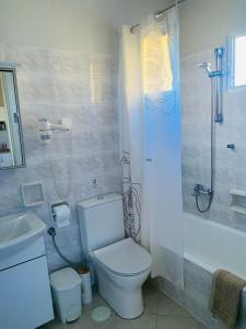 阿里拉斯艾琳别墅酒店的浴室配有卫生间、淋浴和盥洗盆。