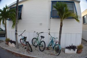 Cudjoe KeyPelican's Roost, Waterfront comfort at Venture Out的三辆自行车停放在棕榈树建筑旁边