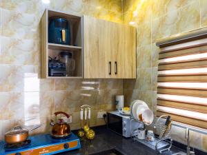 阿布贾Cozy Apartment - Hideaway with 5G WiFi的厨房配有水槽和台面