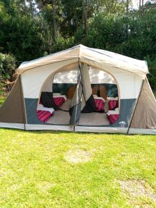奈瓦沙SOFA CAMP NAIVASHA的草原上的帐篷