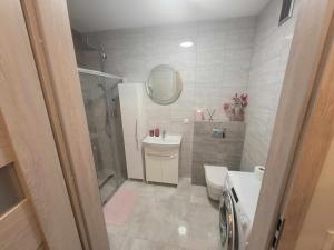 詹塔尔apartament MT2 bursztynowe osiedle的浴室配有卫生间、盥洗盆和淋浴。